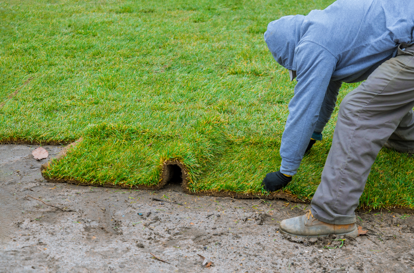 Lawn Care & Installation
